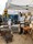 animations, dcouvertes enfants